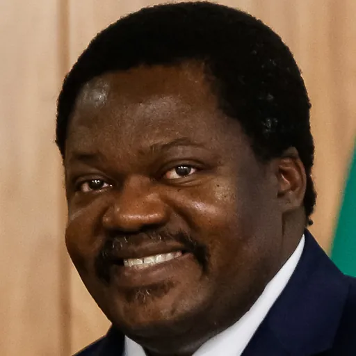 Portrait of Emmanuel John Nchimbi