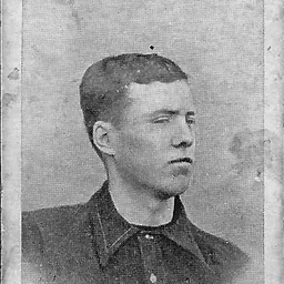 Portrait of William Maxwell