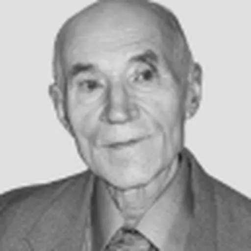 Portrait of Vladimir Koptsik