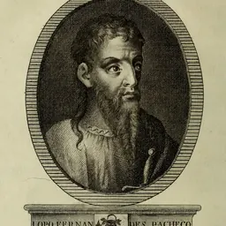 Portrait of Lopo Fernandes Pacheco, 7.º senhor de Ferreira de Aves