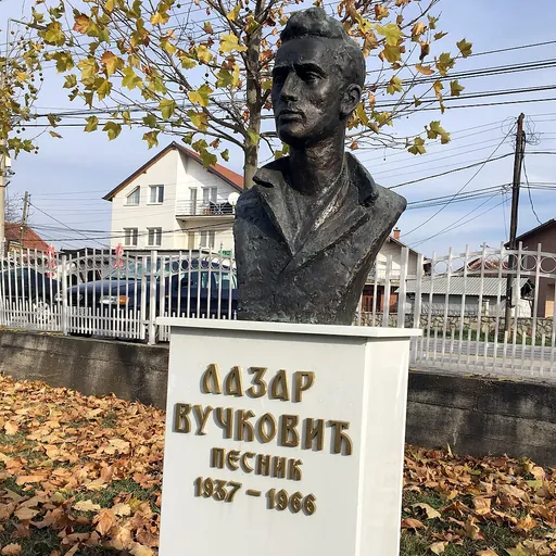 Portrait of Lazar Vučković