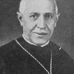 Portrait of Carlo Cremonesi