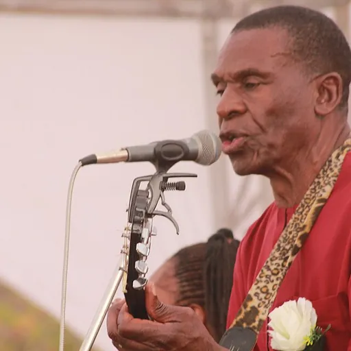 Portrait of Ndingo Johwa