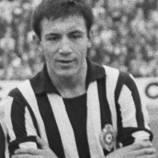 Portrait of Branko Rašović