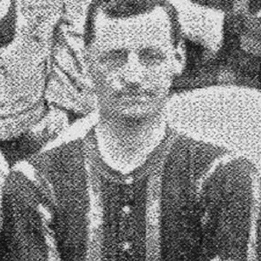 Portrait of Patrick Hagan