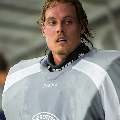 Portrait of Joel Gistedt