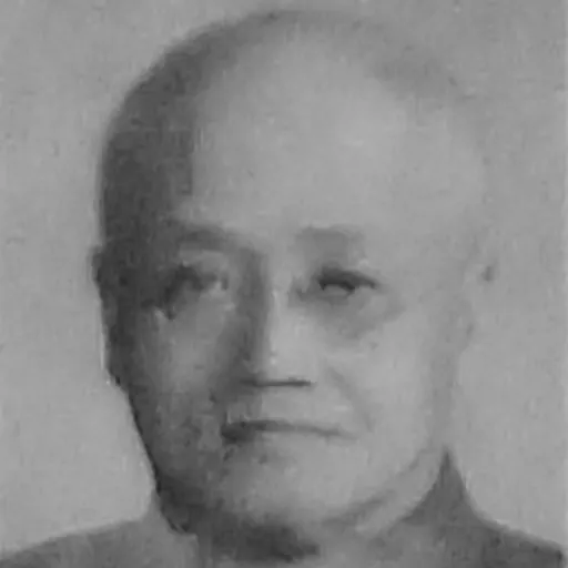 Portrait of Yu Pingbo