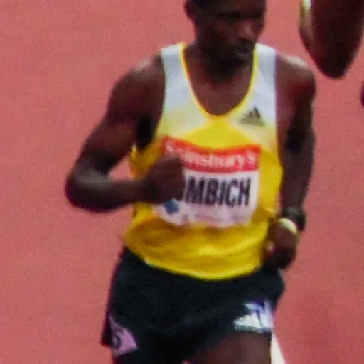 Portrait of Ismael Kombich