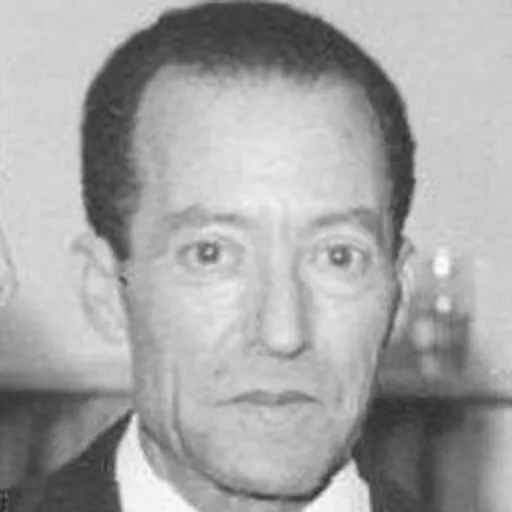 Portrait of Mahmoud Messadi