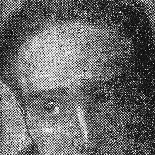 Portrait of Raymond Lefebvre