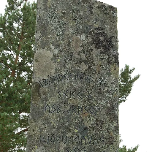 Portrait of Jernskjegge