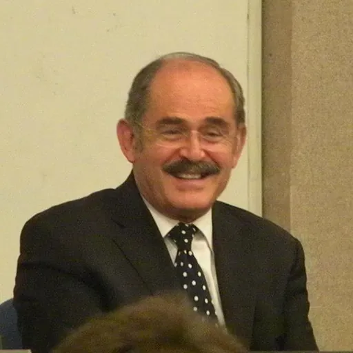 Portrait of Yılmaz Büyükerşen