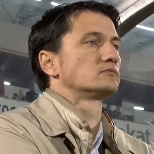 Portrait of Vladimir Ivić