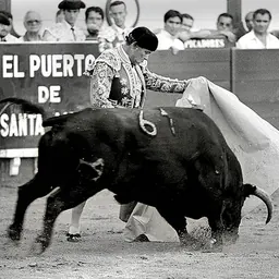 Portrait of Curro Romero