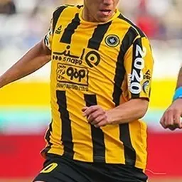 Portrait of Hamid Bahiraei
