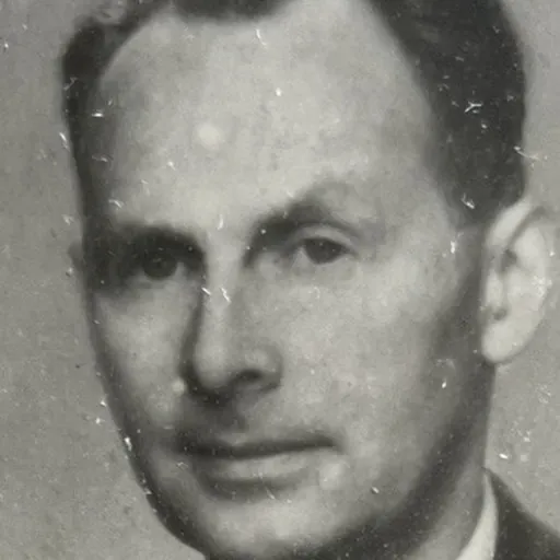 Portrait of Harald Wergeland