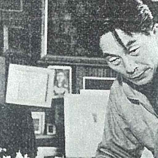 Portrait of Hideo Hagiwara