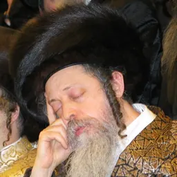 Portrait of Shlomo Goldman