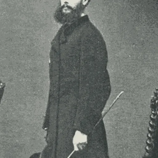 Portrait of Charles Wynne Nicholls