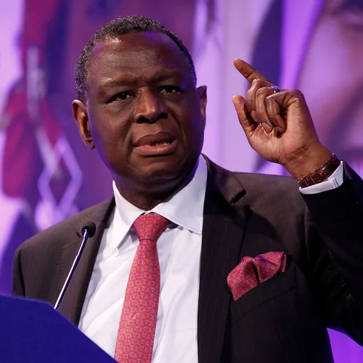 Portrait of Babatunde Osotimehin