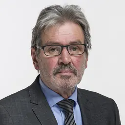 Portrait of Roberto Zanetti