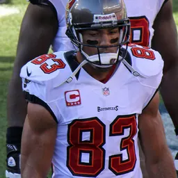 Portrait of Vincent Jackson