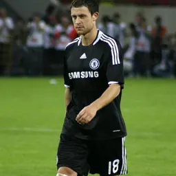 Portrait of Wayne Bridge