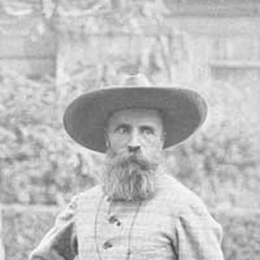 Portrait of Auguste Pavie