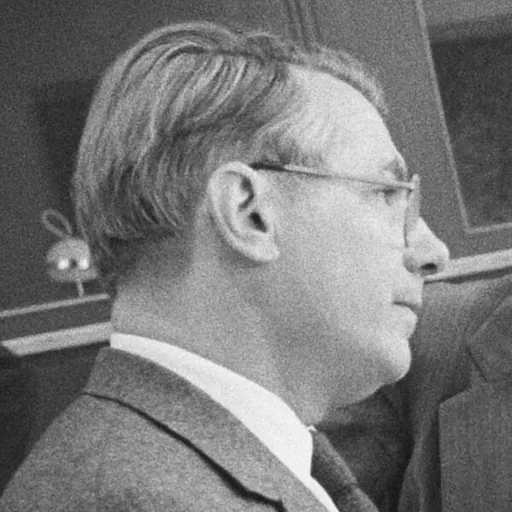 Portrait of Dik Wolfson