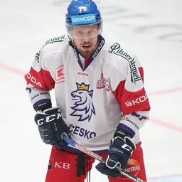 Portrait of David Němeček