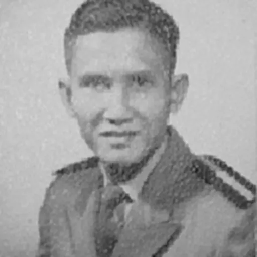 Portrait of Nguyễn Hữu Hạnh