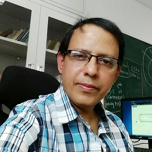 Portrait of Arun K. Pati