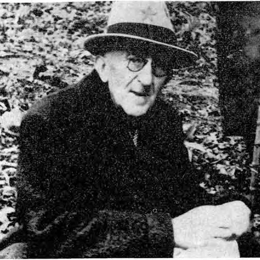 Portrait of Vladimir Nazor