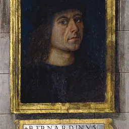 Portrait of Pinturicchio