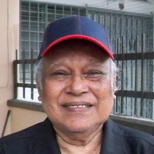 Portrait of Noordin Hassan