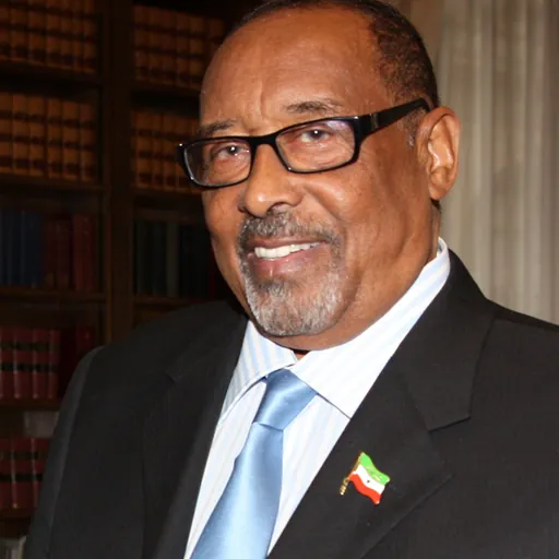 Portrait of Ahmed Mohamed Mohamoud