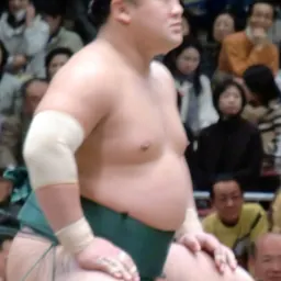 Portrait of Kirinowaka Tarō