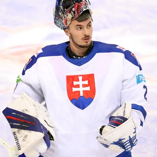Portrait of Matej Tomek