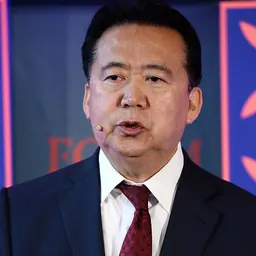 Portrait of Meng Hongwei