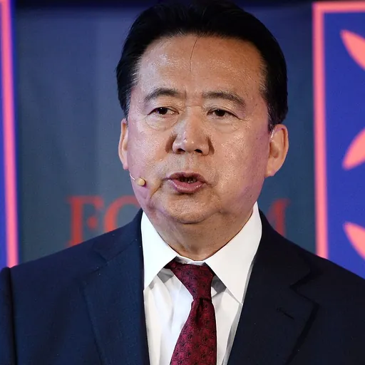 Portrait of Meng Hongwei