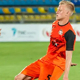 Portrait of Dominik Dinga