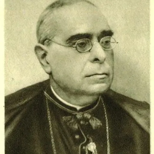 Portrait of Josep Torras i Bages
