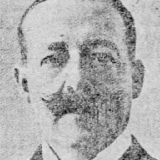 Portrait of James Wanklyn
