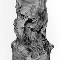Portrait of Ahmose-Meritamon