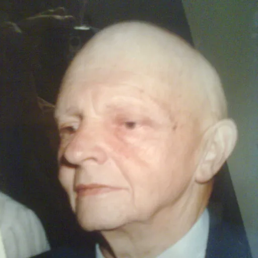 Portrait of Menahem Stern
