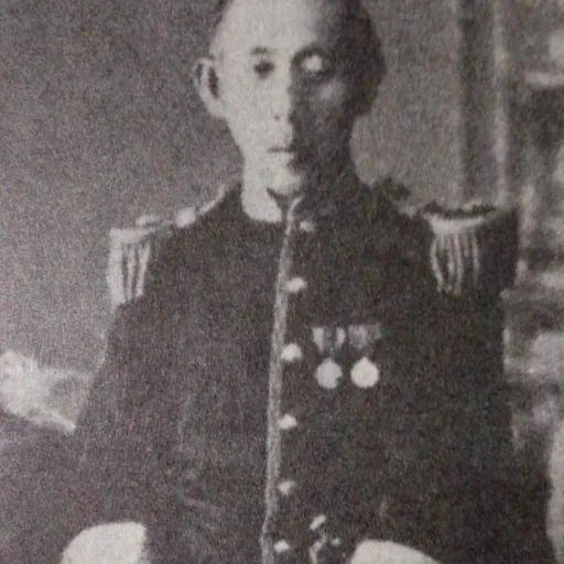 Portrait of Ōkubo Tadanori