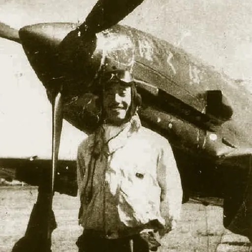 Portrait of Kim Chung-yul