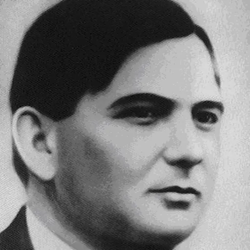 Portrait of Imre Bródy