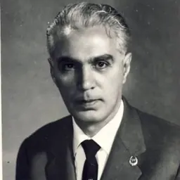 Portrait of Miron Nicolescu
