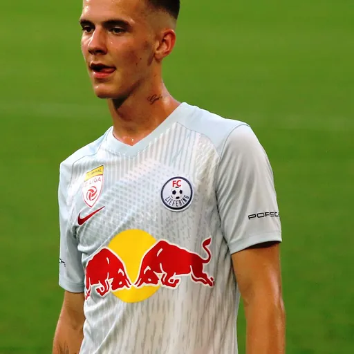 Portrait of Oliver Lukic